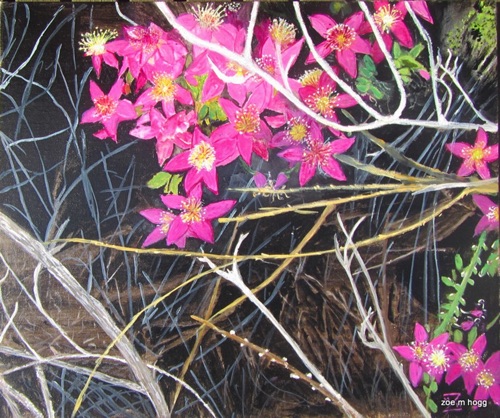 DESERT FRINGE MYRTLE
Watercolour
$150.00 DESERT FRINGE MYRTLE
Watercolour
$150.00